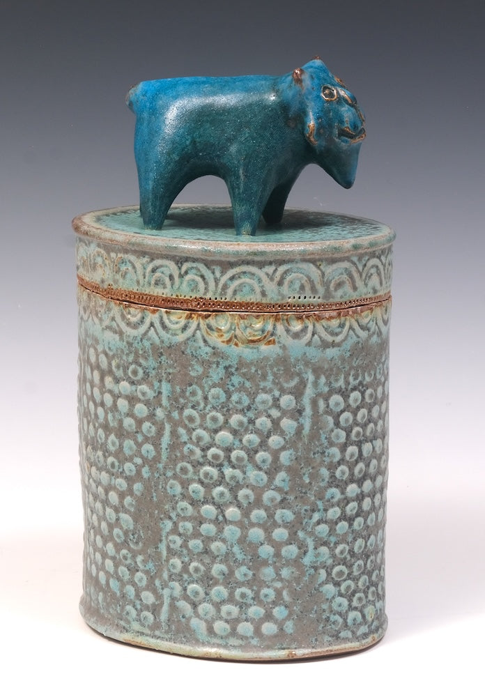 A Turquoise Cat Box