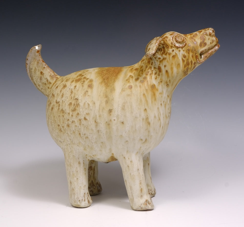 A Speckled Dog -3