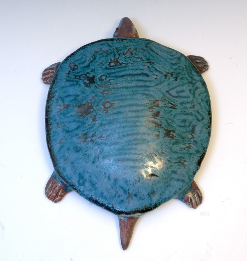 Wall Turtle 1